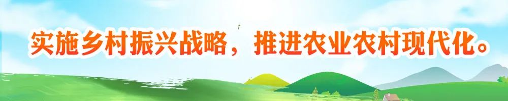 【巩固拓展脱贫攻坚成果 全面推进乡村振兴】中草药种植成致富“良方”