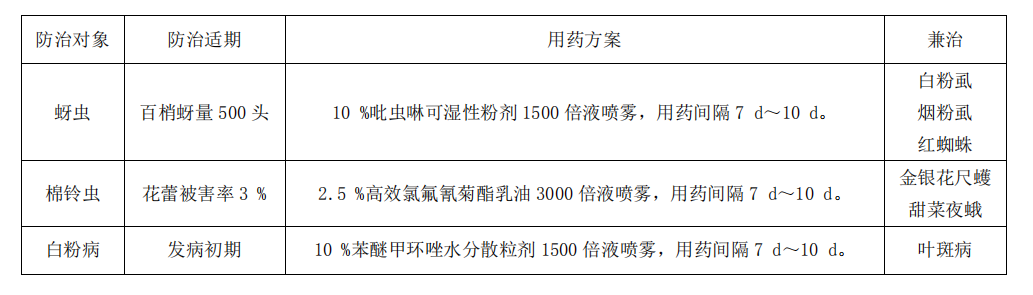 种植金银花家庭技术要求_家庭金银花种植技术_种植金银花需要什么条件