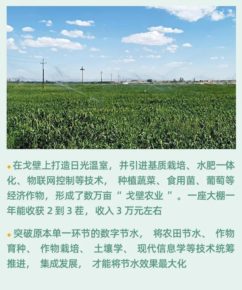 南方养牛一般是哪种品种_南方养牛技术大全料与管理_南方和牛养殖技术