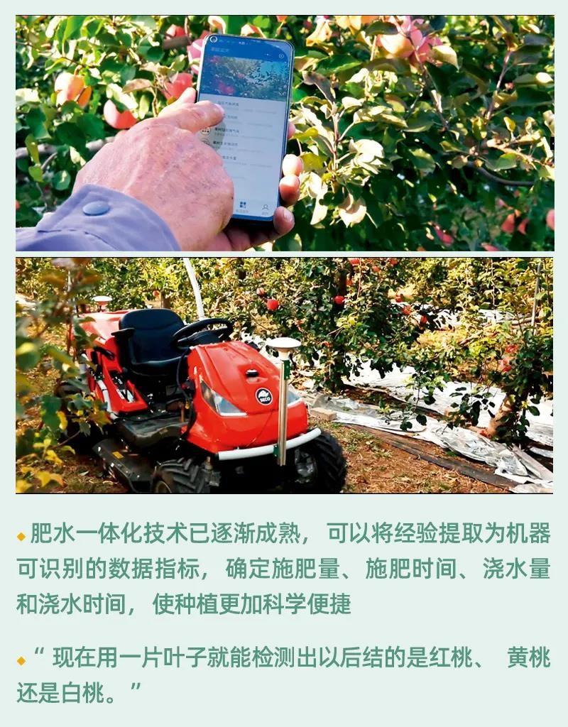 南方和牛养殖技术_南方养牛技术大全料与管理_南方养牛一般是哪种品种