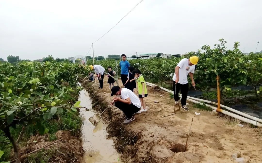 致富石榴种植方法_致富石榴种植视频_致富经种植番石榴