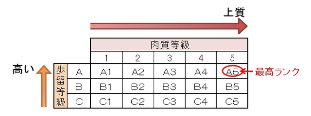 南方养牛一般是哪种品种_南方和牛养殖技术_南方养牛技术大全料与管理