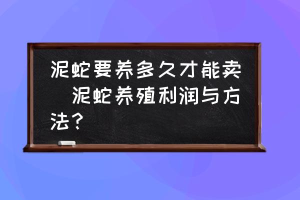 泥蛇要养多久才能卖(泥蛇养殖利润与方法？)