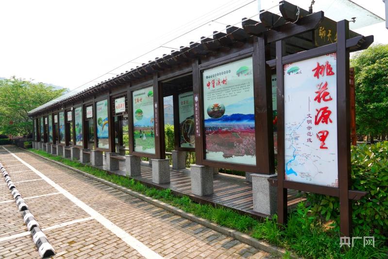 致富种植浙江项目有哪些_浙江种植致富项目_浙江致富经