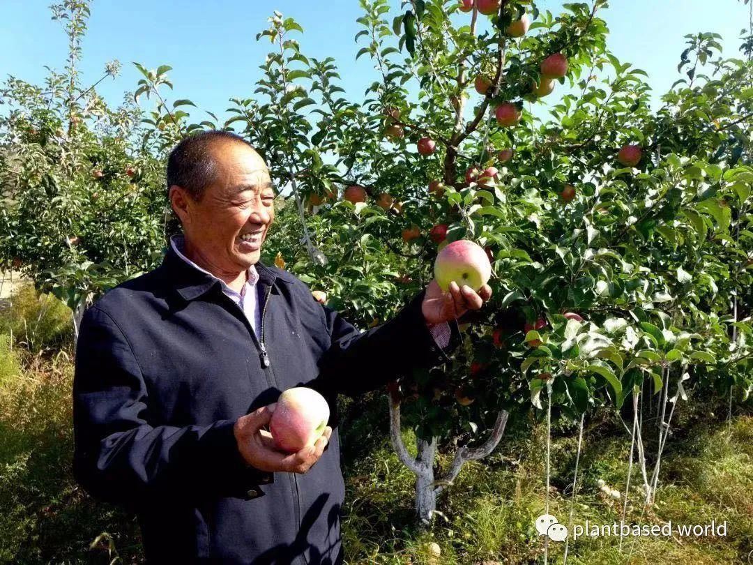 住进沙漠22年，把5000亩沙漠变绿洲的倪铁军终于笑了