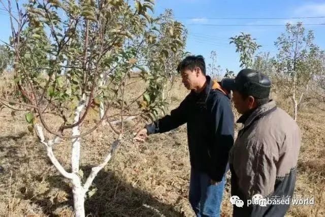 沙漠里养牛_致富经沙漠养牛_致富经沙漠养鱼