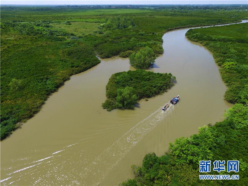 海南湿地保护再思考