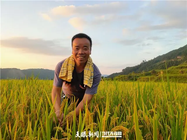 「山里山外贵州人」杨正熙：十年生态农业梦