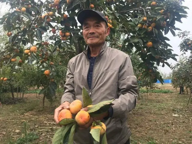 周口种植业_周口种植致富带头人_河南周口种植