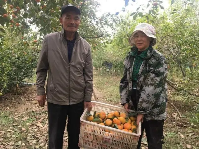 周口种植业_河南周口种植_周口种植致富带头人