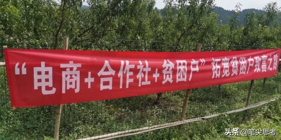 凤冈“我有半亩园”网红直播3小时卖出近万斤李子