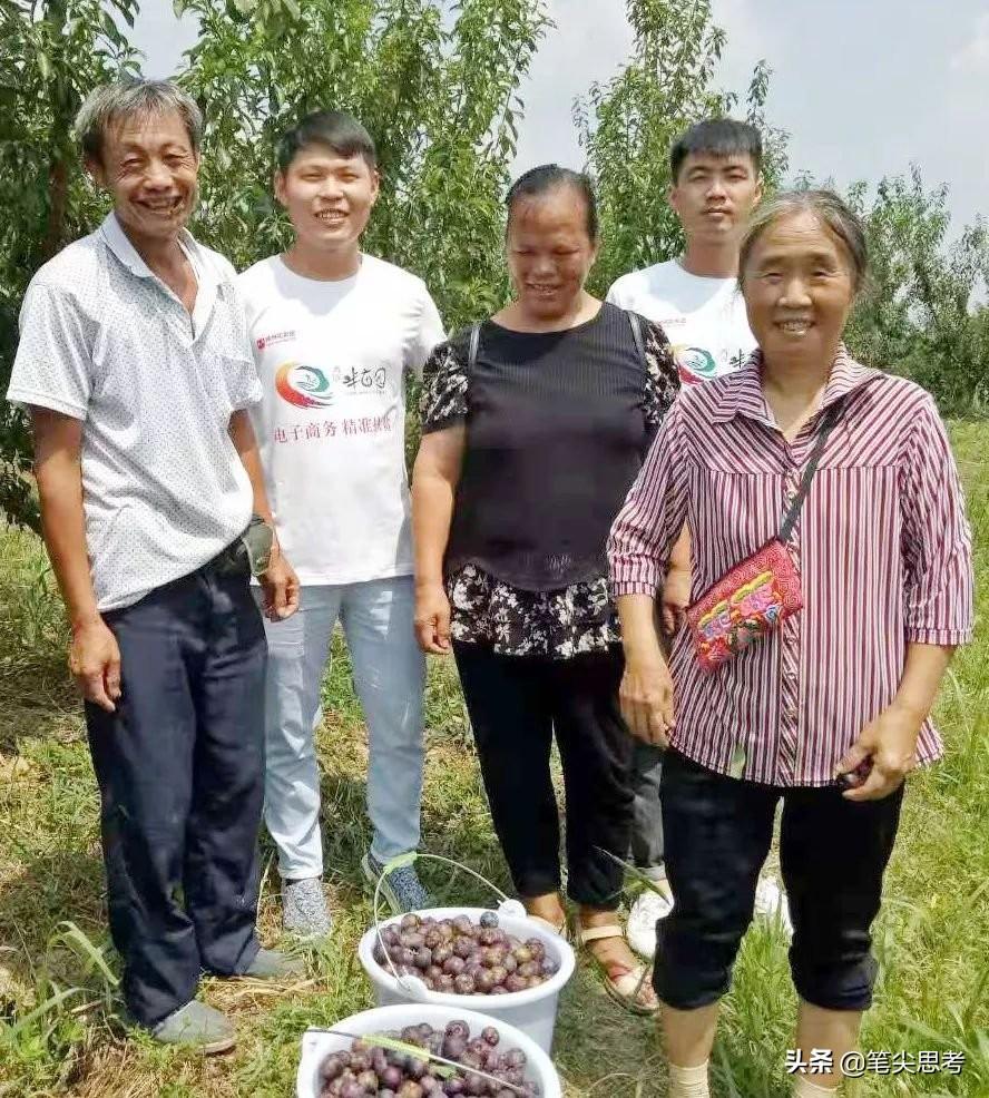 四川李子种植致富视频大全_李子种植技术视频_四川李子种苗基地