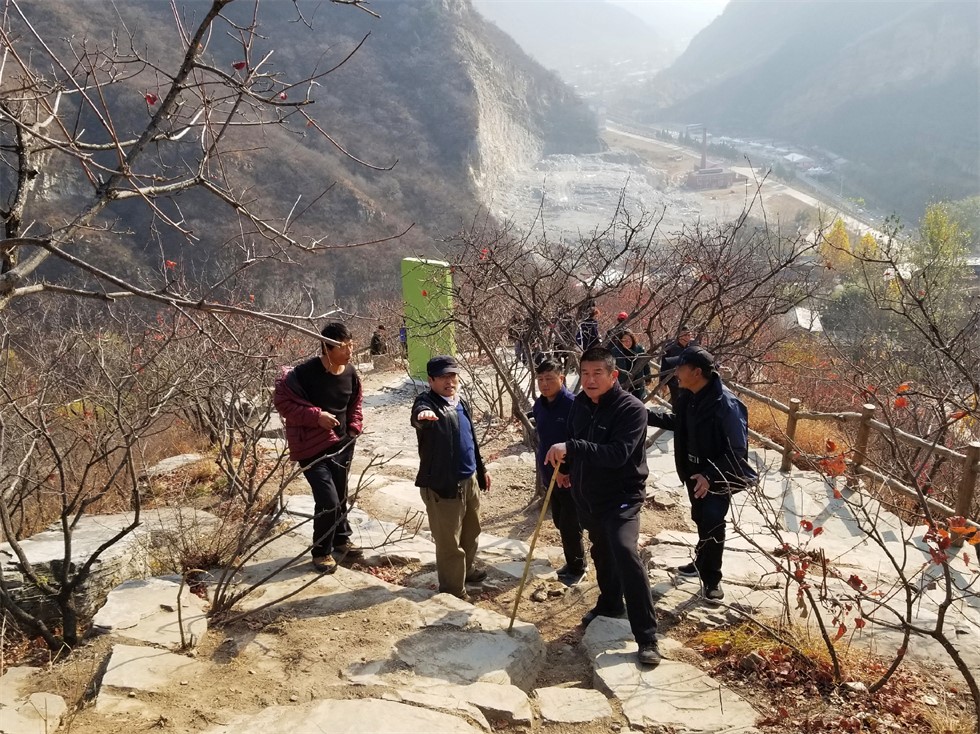 河南周口种植什么致富_周口种植致富带头人_周口种植基地