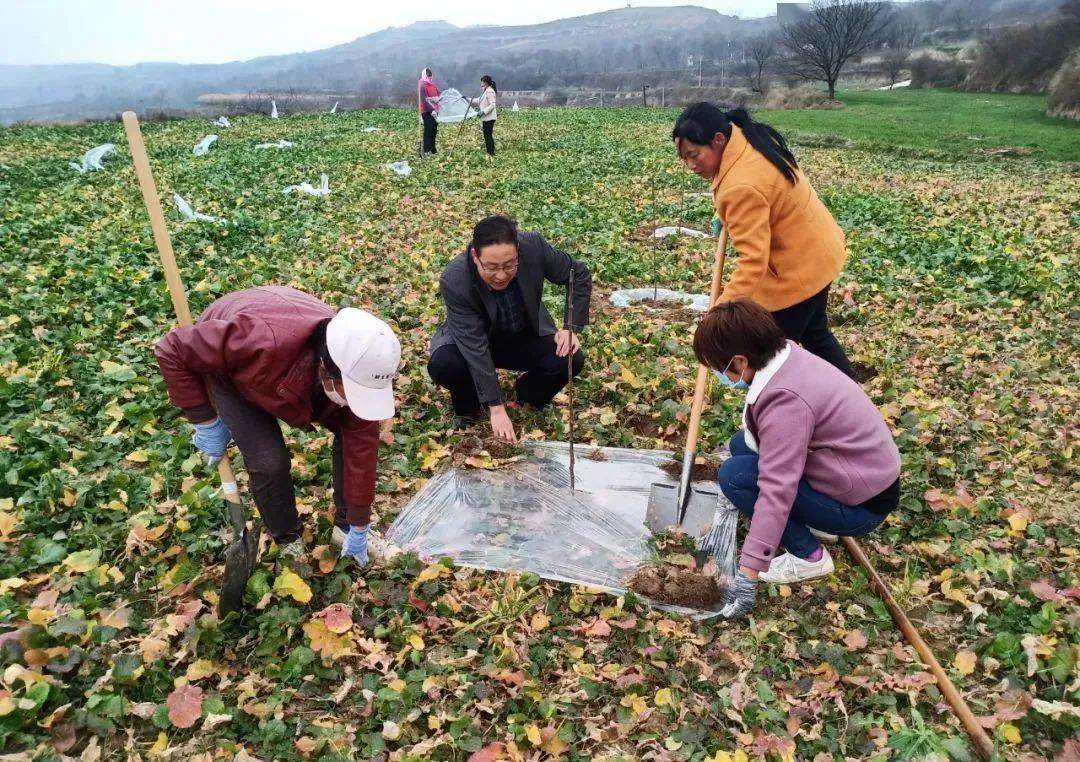 致富种植农业机器人视频_种植农作物机器_农业种植致富机器