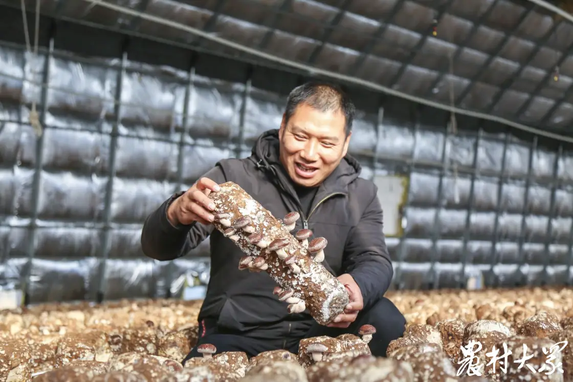 特色种植敲开村民致富门_致富经农村种植_农村致富门实例