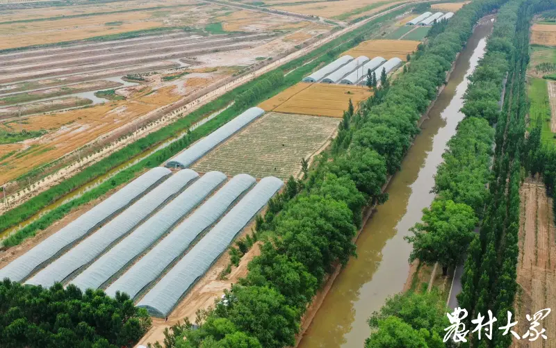 特色种植敲开村民致富门_致富经农村种植_农村致富门实例