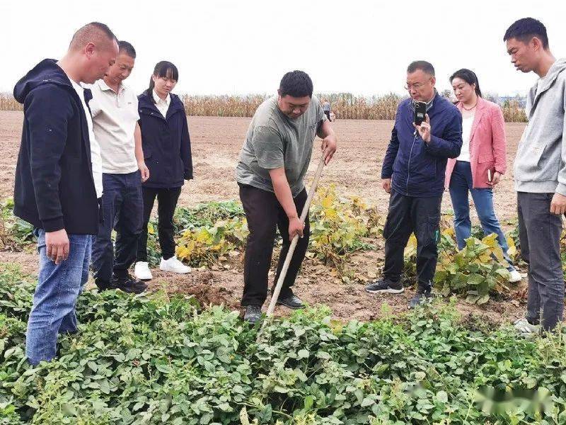 冯塘乡：特色种植打开农民致富门