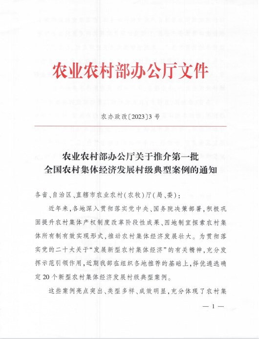 牡丹致富种植项目怎么样_牡丹种植致富项目_牡丹致富种植项目介绍