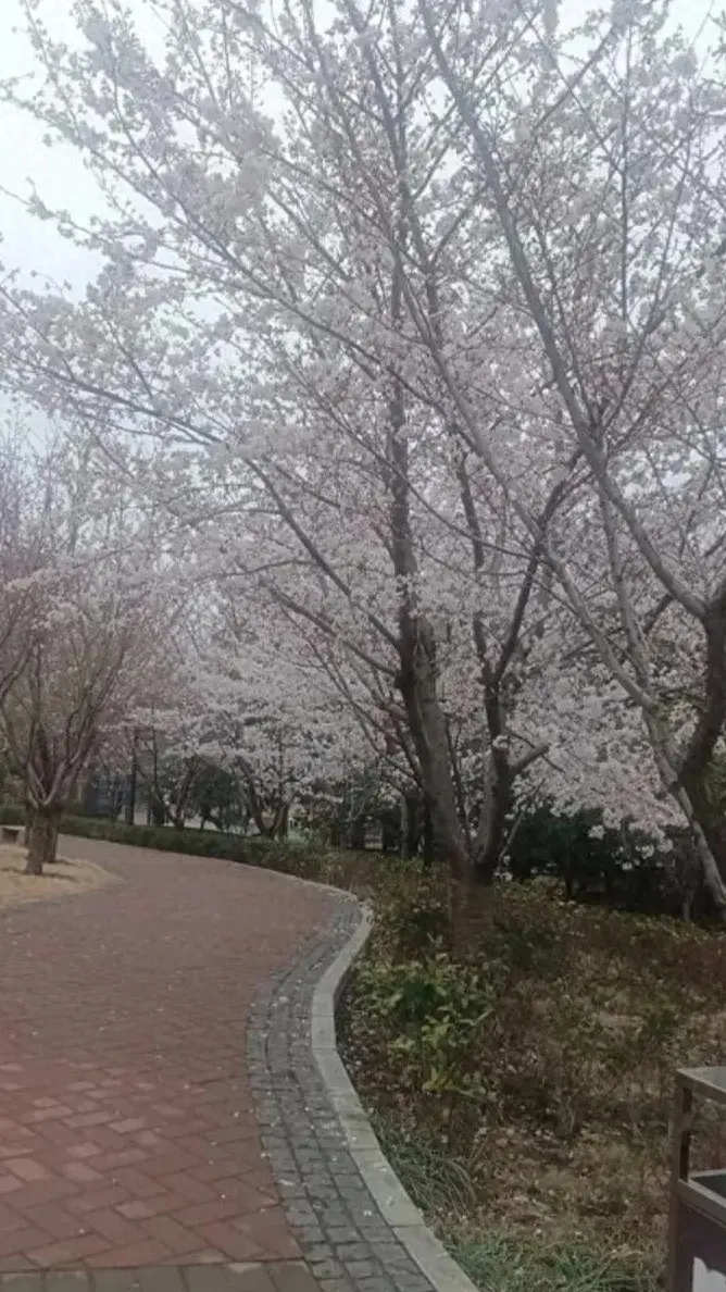 农村老家现在普遍存在问题