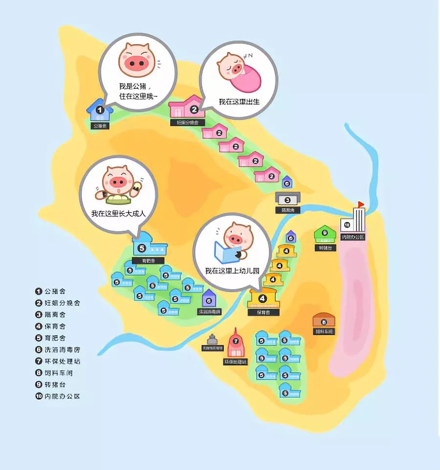 养殖场喂猪新技术_喂猪养殖方法_养殖喂猪技术新闻报道