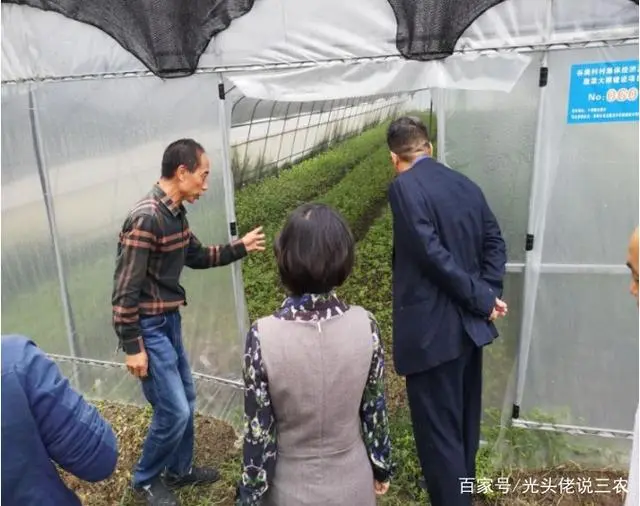 致富种植农民工有补贴吗_农民致富种植项目_农民工种植致富吗