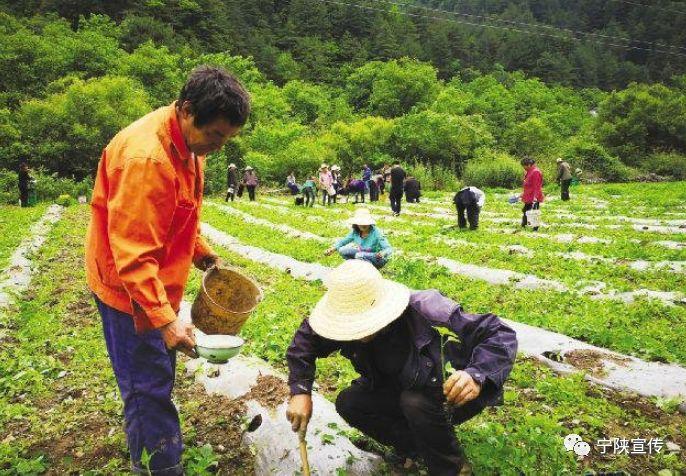 花石养殖业领先致富带头人_什么是花石头_花石鲫百度百科