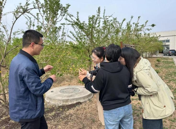 农村种植中药致富_中药材种植致富_农村种植药材致富项目