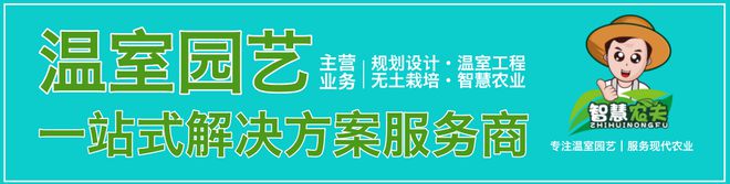 一亩番茄种出四亩产量，这样的温室大棚有啥奥妙？