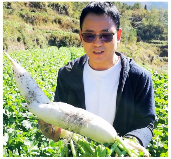 致富经香甜鱼_致富经养殖鱼视频_致富经鱼