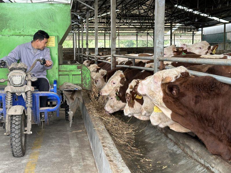 致富酿酒养殖内容怎么写_致富经酿酒技术视频_酿酒养殖致富内容