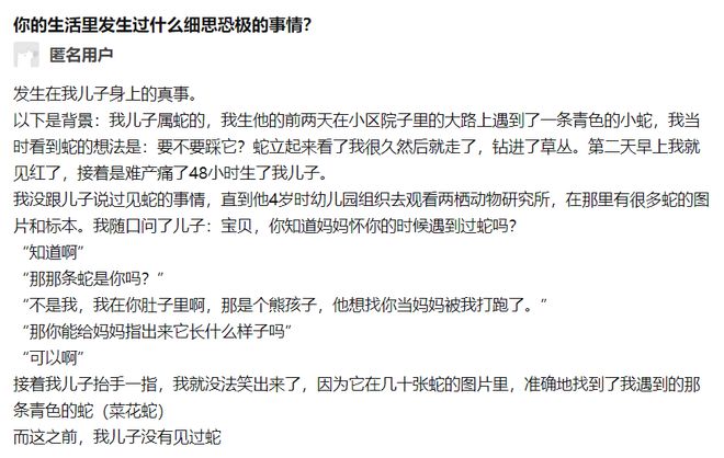 致富经毒蛇_致富经蛇王姐姐险中求富_致富经之王锦蛇