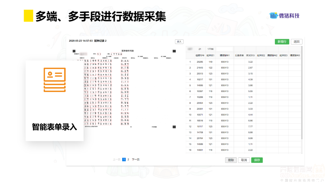 猪的养殖技术方法问_养猪如何养殖_养殖猪怎么养殖