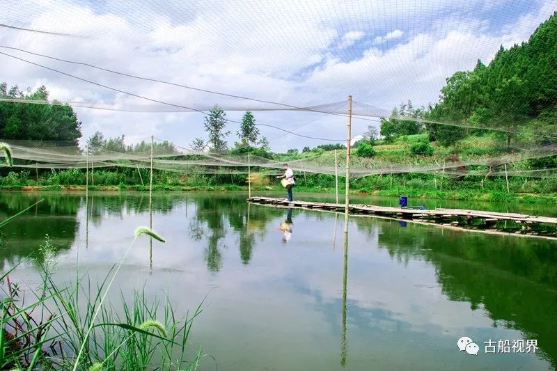 泥鳅养殖技术列表_养殖泥鳅视频全过程_养殖泥鳅的技术