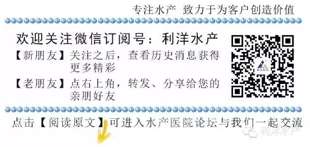 泥鳅养殖技术列表_养殖泥鳅养殖泥鳅_养殖泥鳅需要具备哪些条件