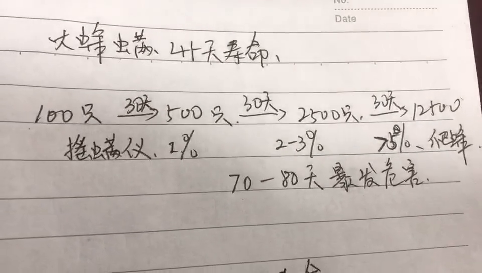 蜜峰养殖技术视频教程_蜜蜂养殖技术视频播放_养殖蜜蜂教程视频在线