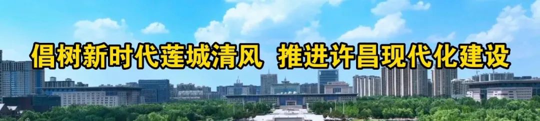 灵井镇：“产业园”里谋振兴，村里念起“致富经”