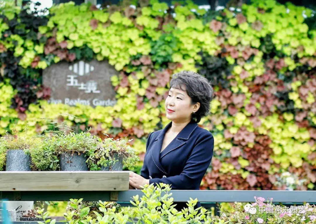 年种植什么赚钱种植致富项_种植佛甲草致富案例_农村种植致富好项目