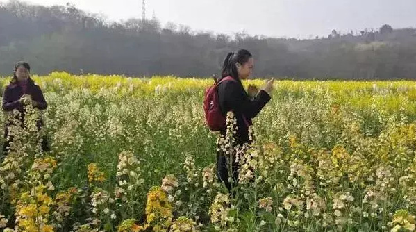 海上种植_海洋种植致富方法_海水种植