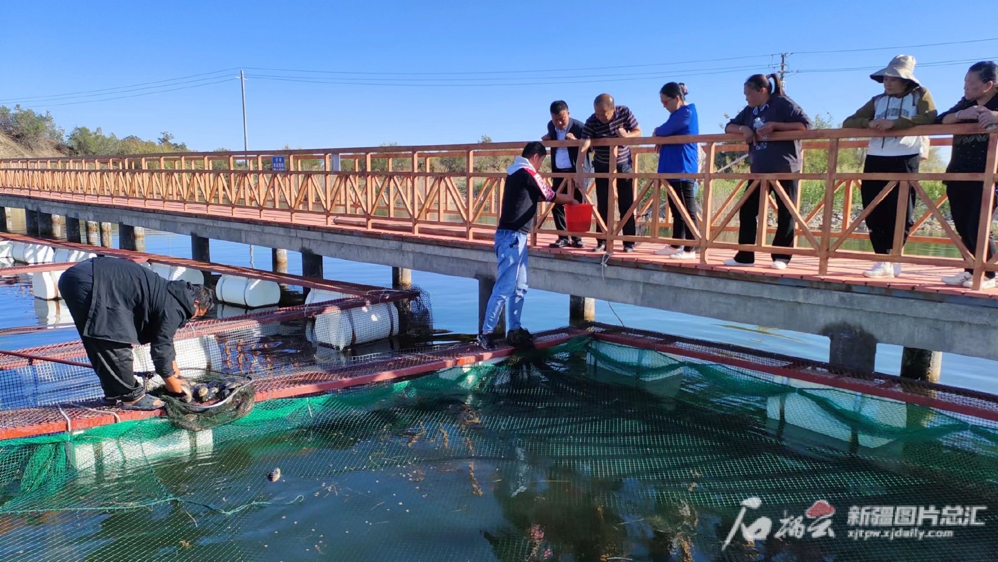 中秋国庆尝“新鲜”丨大漠深处天鹅湖：比天鹅更抢镜的是海鲜