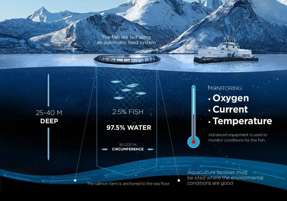 海产养殖技术视频_海里养殖鱼视频_海上养殖视频