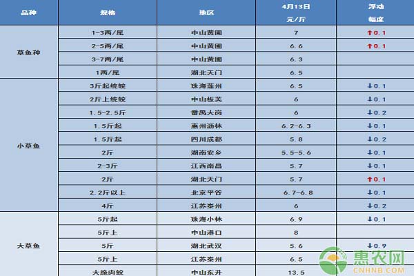 视频致富养鱼最新版下载_致富经2019年全集养鱼视频_最新致富经养鱼视频