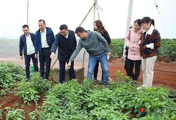 致富经养虫子_农村致富种_农民种植致富虫