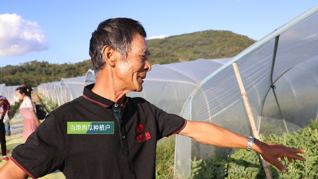 西瓜苗种植视频_西瓜种植步骤简单视频_长西瓜种植技术视频