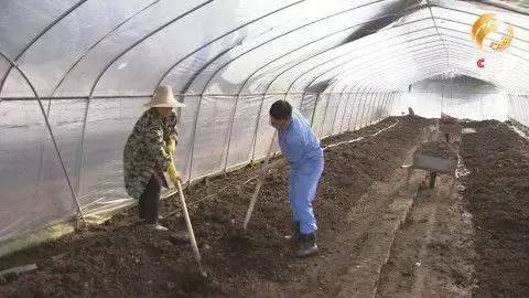 致富经蛋白虫养殖技术_致富经虫子鸡蛋_致富经养虫子鸡视频全集