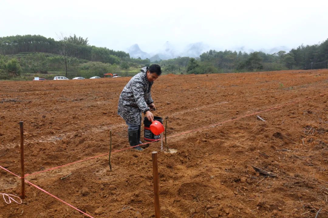 种植农作物机器_农村种植致富机器_农村种植致富新项目