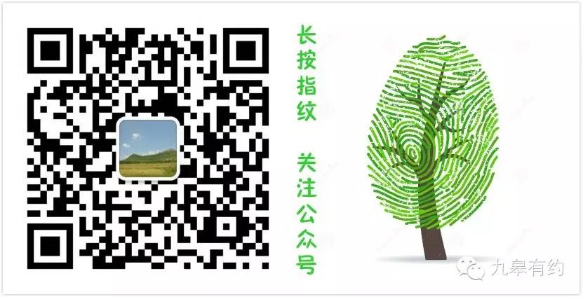致富经面包草视频_致富面包饲草图片_致富经面包饲草