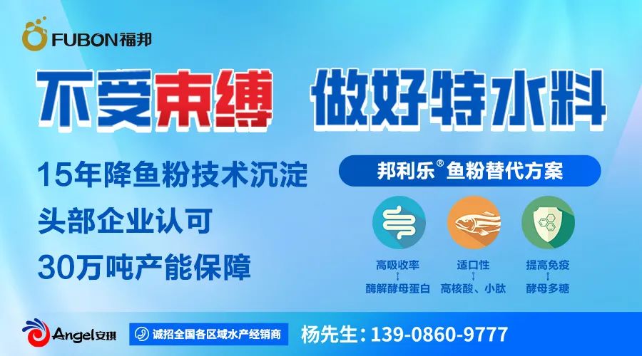 损失上千万元！涿州水产养殖企业遭重创：洪水来袭，80万斤黄鱼、鲟鱼遭灭顶之灾