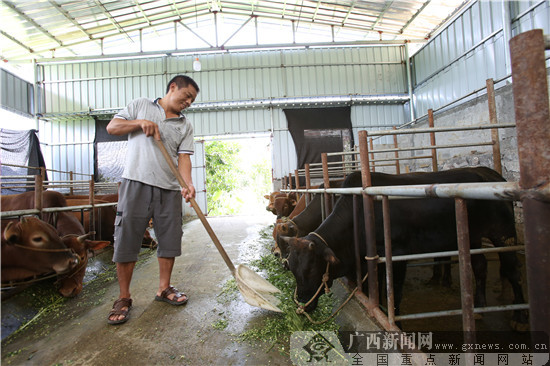 致富项目养殖_楼上可养殖致富_养殖致富门路