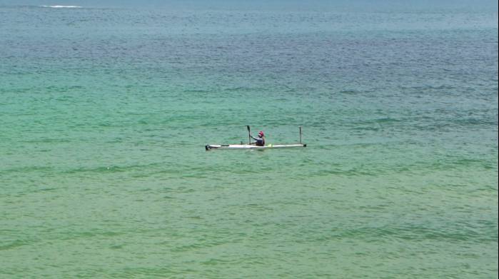 海水养鸭_在海边养殖海鸭视频_跑海鸭养殖技术