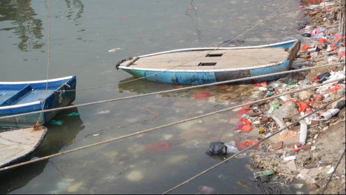 在海边养殖海鸭视频_跑海鸭养殖技术_海水养鸭